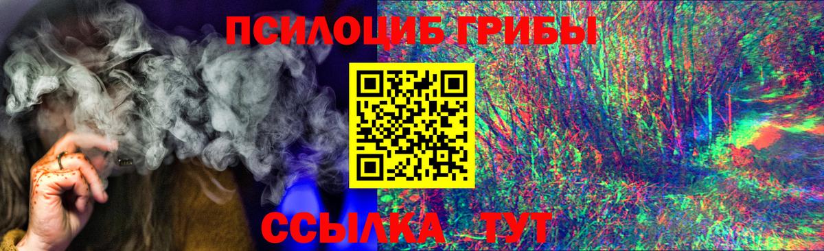 Псилоцибиновые грибы MAGIC MUSHROOMS  Галлюциногенные грибы Psilocybe  Тамбов  Вход с VPN 