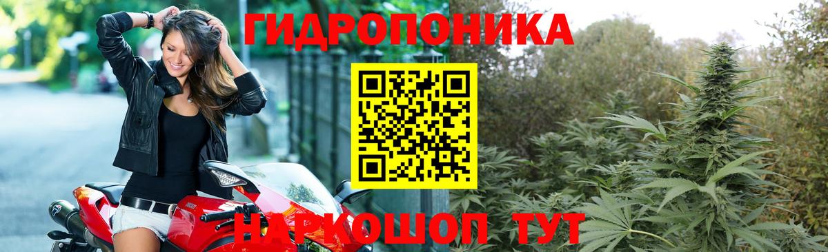Каннабис марихуана Тамбов